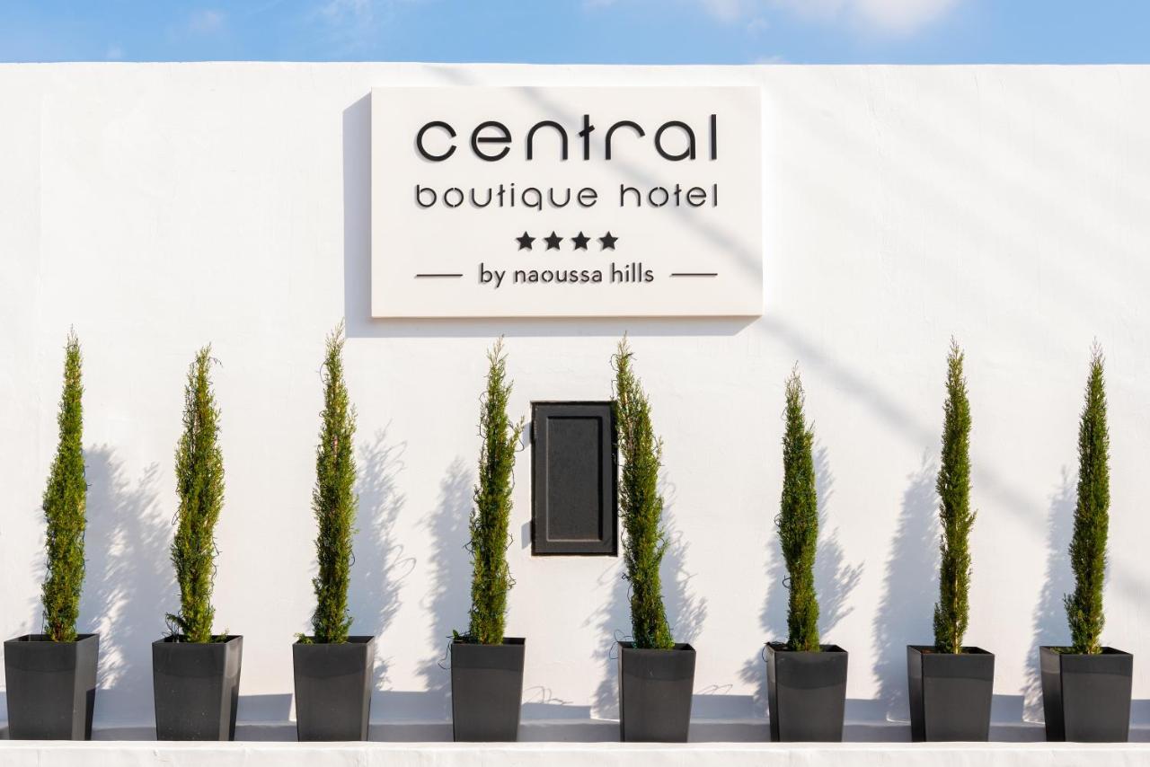 Central Boutique Hotel By Naoussa Hills Adults Only 외부 사진